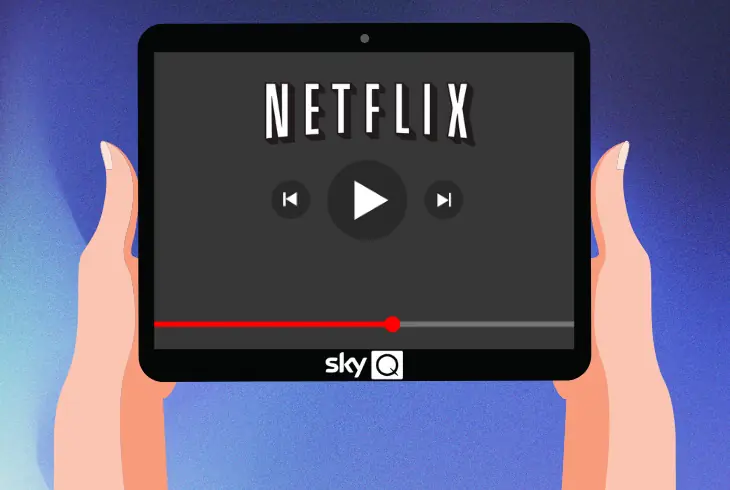 how to transfer the netflix account to sky q
