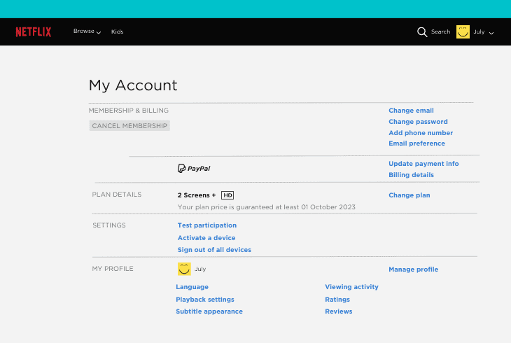 verify your netflix subscription
