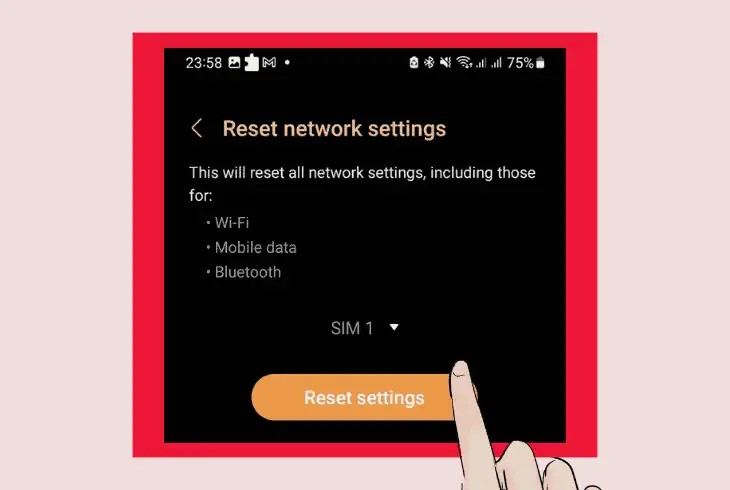 reset your networking options