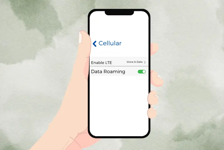 turn on the data roaming