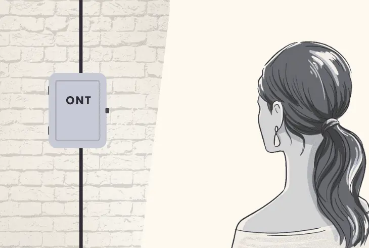 reset the ont