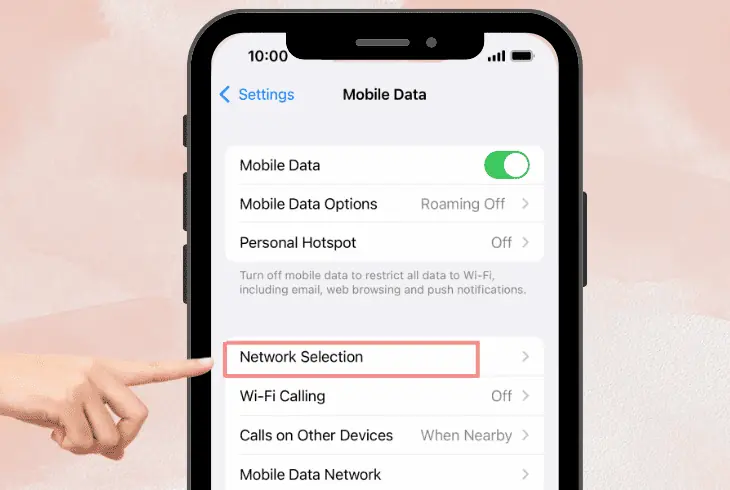 perform a manual roam test 