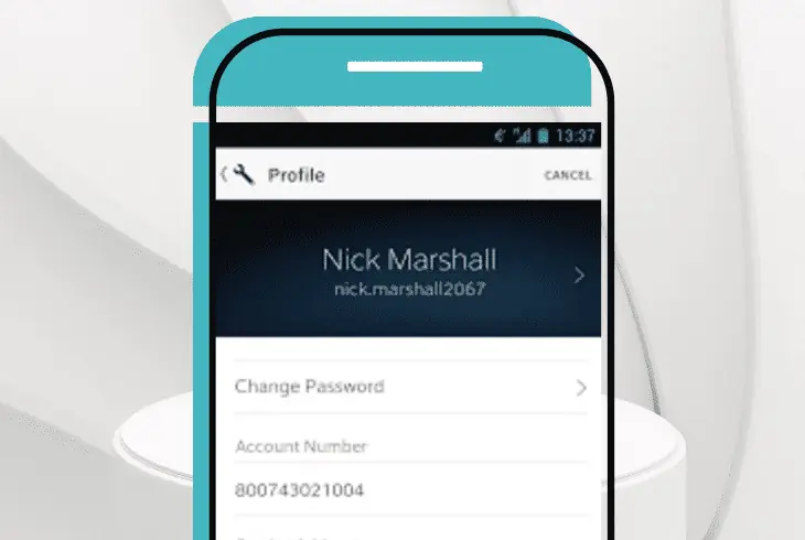 update the account information