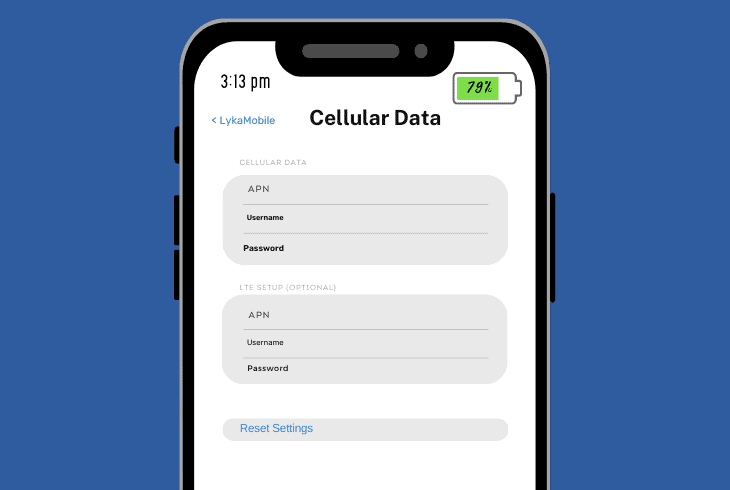 update the apn settings