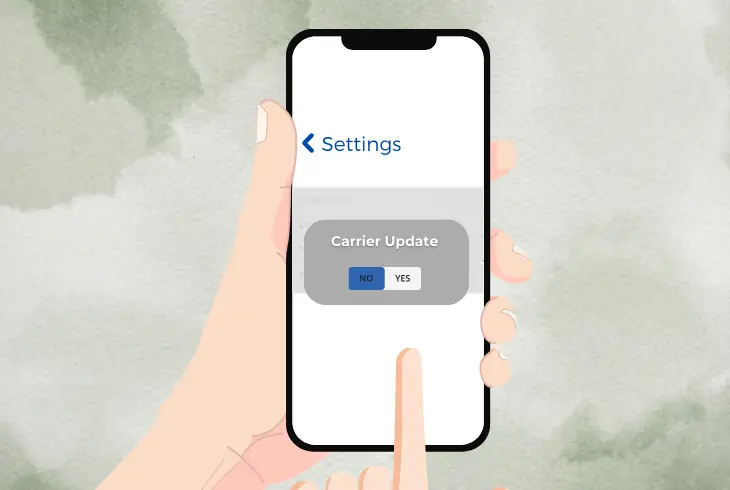 update the carrier settings