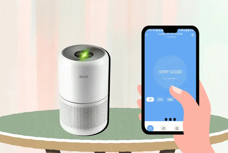 the wifi connection