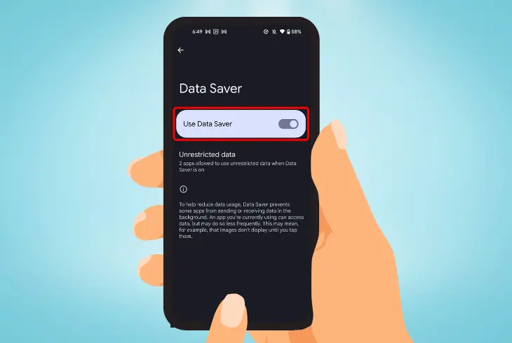 the data usage and roaming