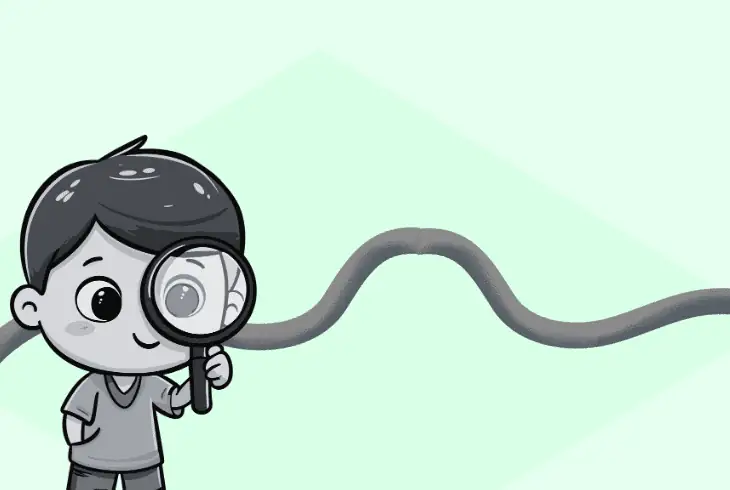check your power cord link