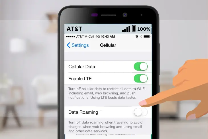 turning on data roaming on your phone