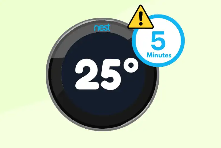 nest say delayed for 5 minutes
