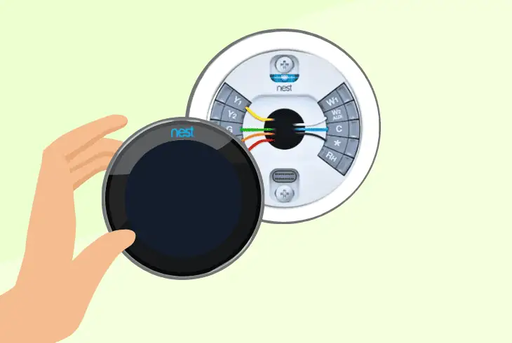 inspect the nest thermostat’s wiring