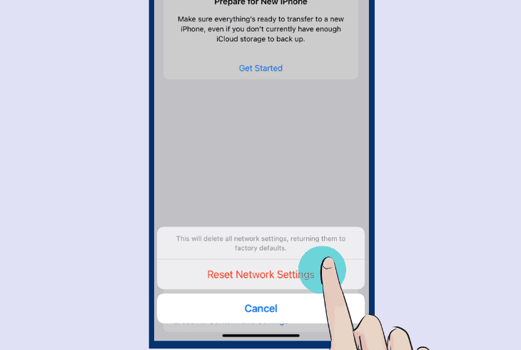 reset the network setup on apple