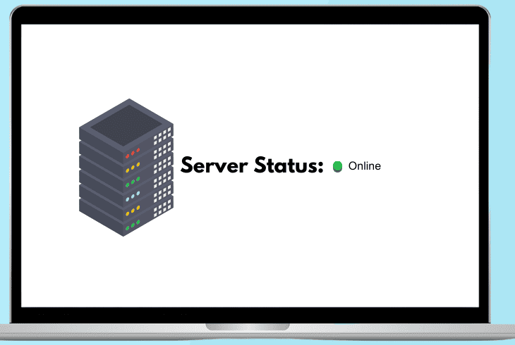 verify your server is accessible