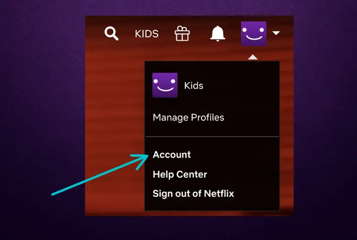 check your netflix subscription