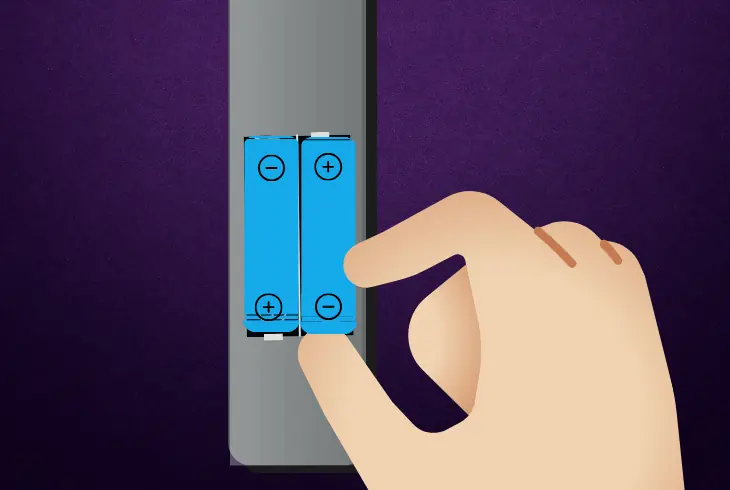 remote with batteries