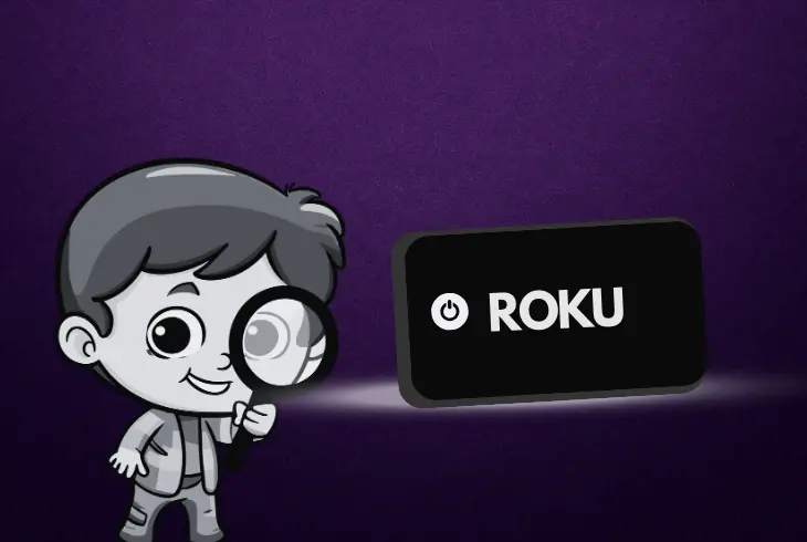 inspect the roku’s equipment