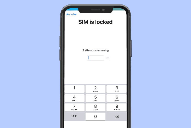 log in your sim using pin code
