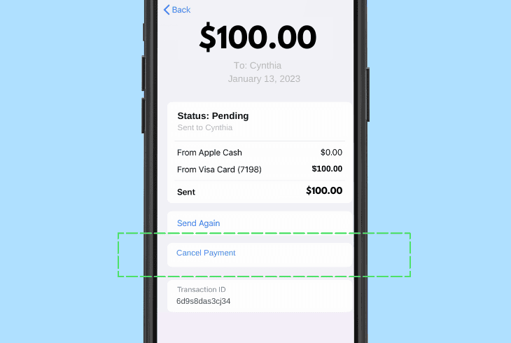 cancel the apple pay transaction