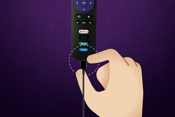discharge roku voice remote pro